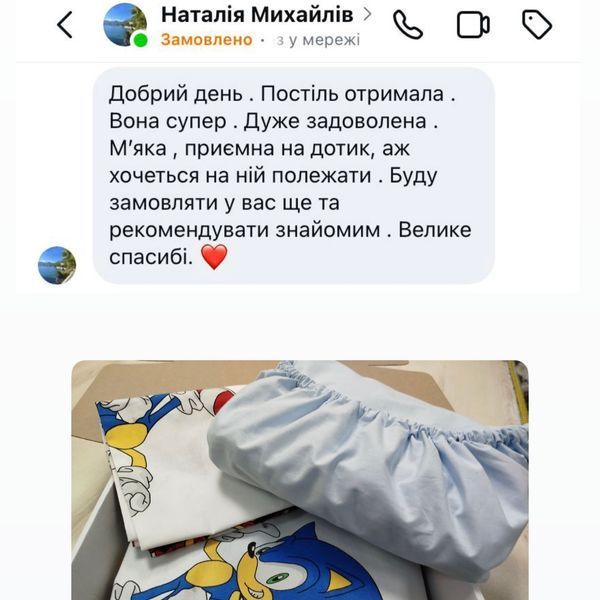 Постільна білизна Їжак Сонік Півтораспальний 1035 фото