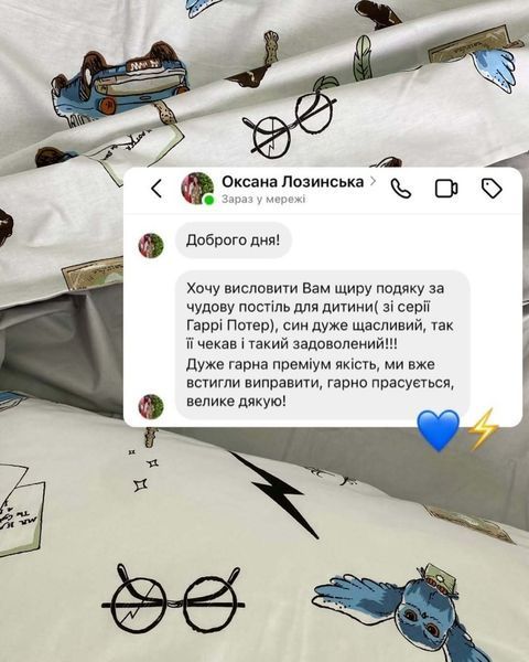 Постільна білизна Гаррі Поттер на білому з сірим Півтораспальний 1022 фото